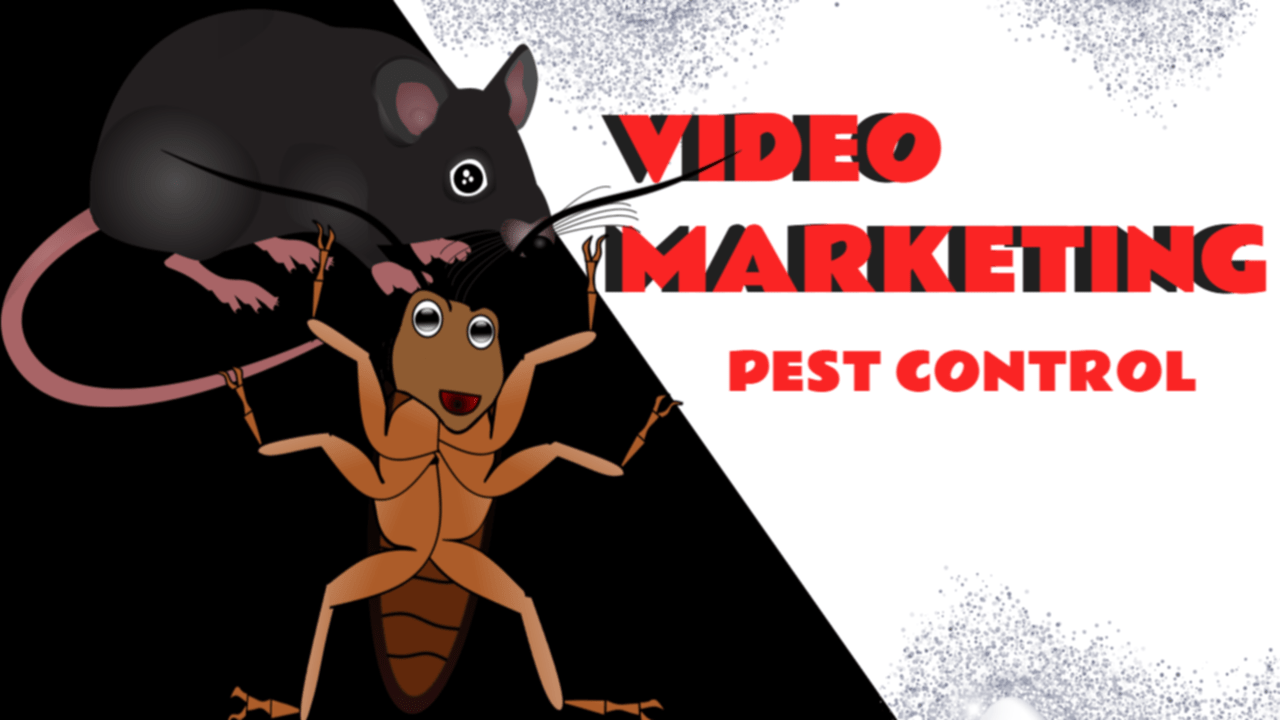 How-High-Quality-Video-Marketing-Can-Transform-Your-Pest-Control-Business